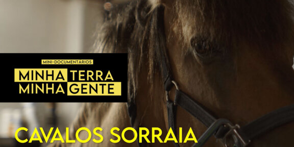 Cavalos Sorraia