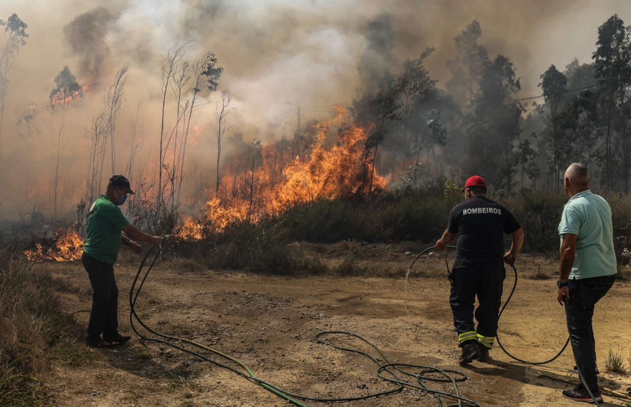 Produtores juntam-se a bombeiros no combate a incêndios