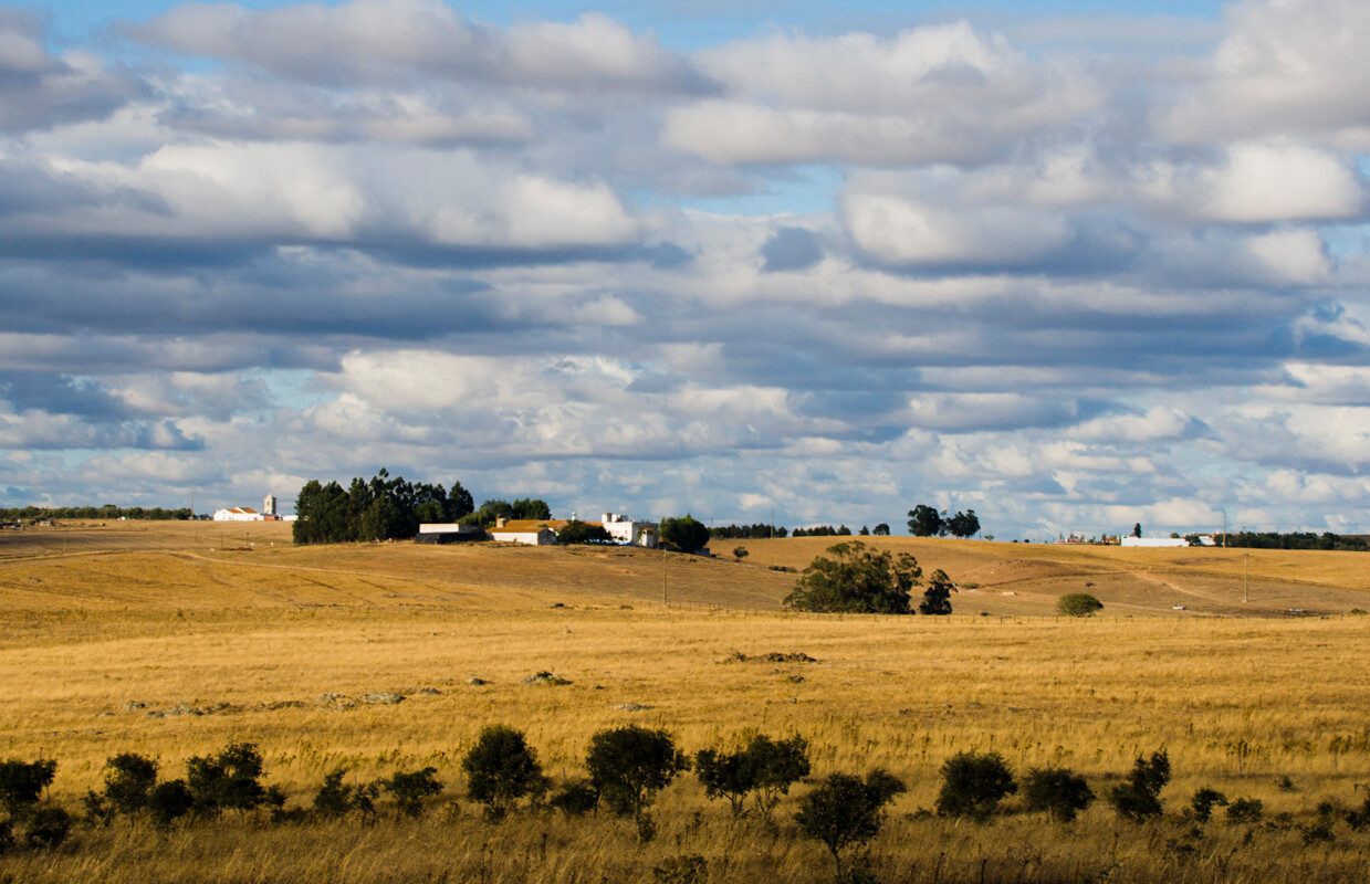 Paisagem de uma planície alentejana, com uma pequena povoação em fundo