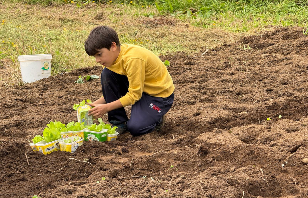 Duarte Sanches a cultivar plantas na sua horta