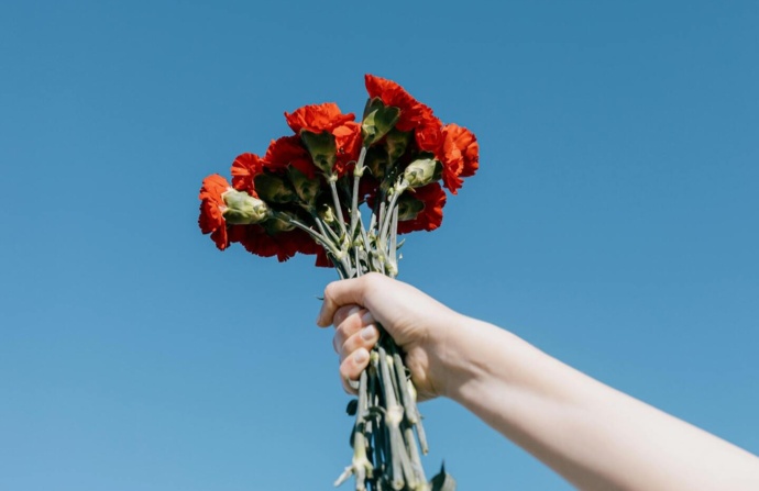 Uma mão a segurar um ramo de cravos vermelhos, com um fundo de céu azul.