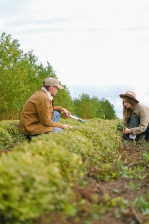 Jovens agricultores são "mais qualificados", mas sofrem com financiamento