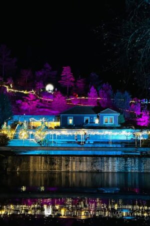 Duas "Florestas Encantadas" de Natal para descobrir no Alto Minho
