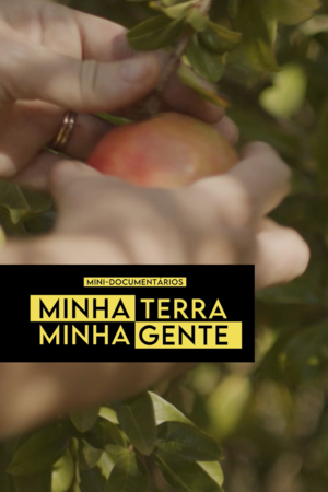 Da serra para a mesa