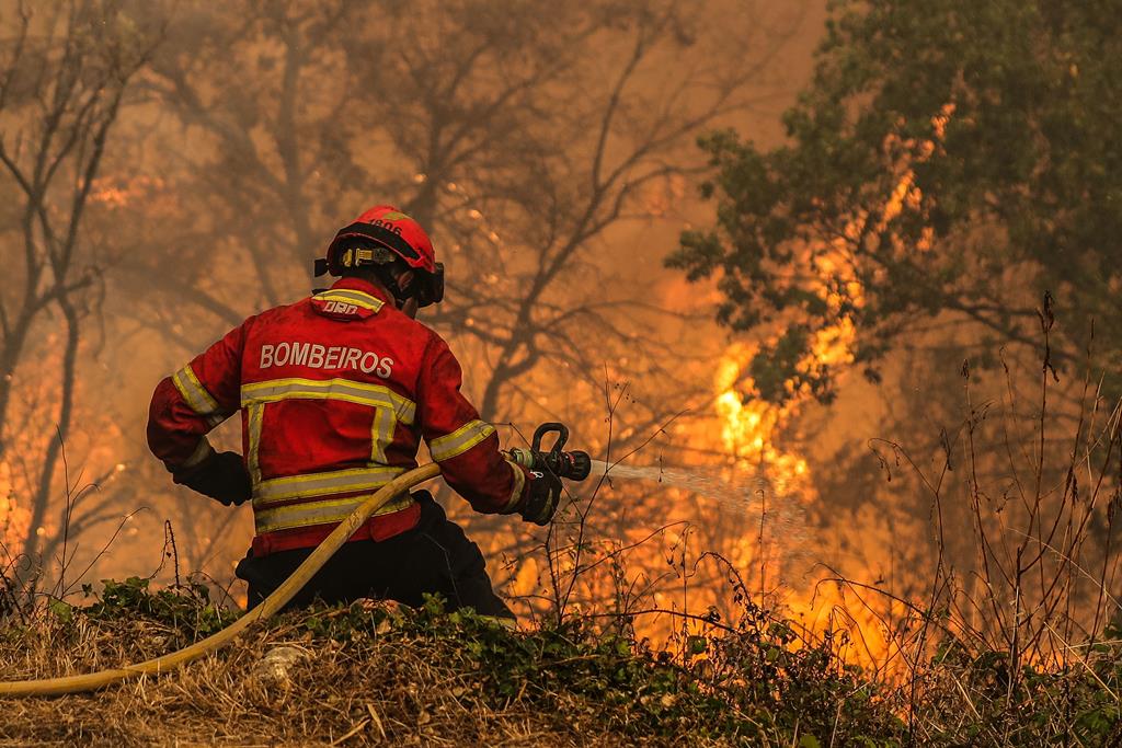 Tecnologia aliada aos fogos: plataforma permite analisar zonas de risco de incêndio em Portugal