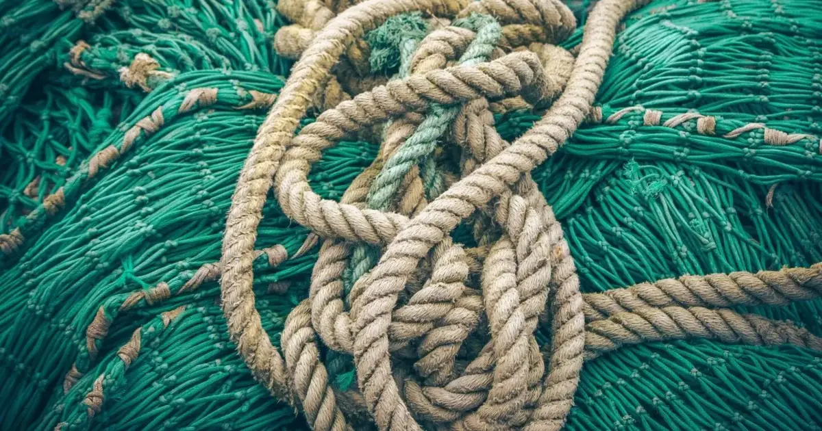 Esposende isenta temporariamente taxas a pescadores e feirantes afetados pelo mau tempo