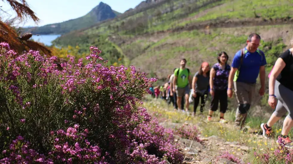 Festival de Caminhadas de Pampilhosa da Serra regressa em maio com novas experiências