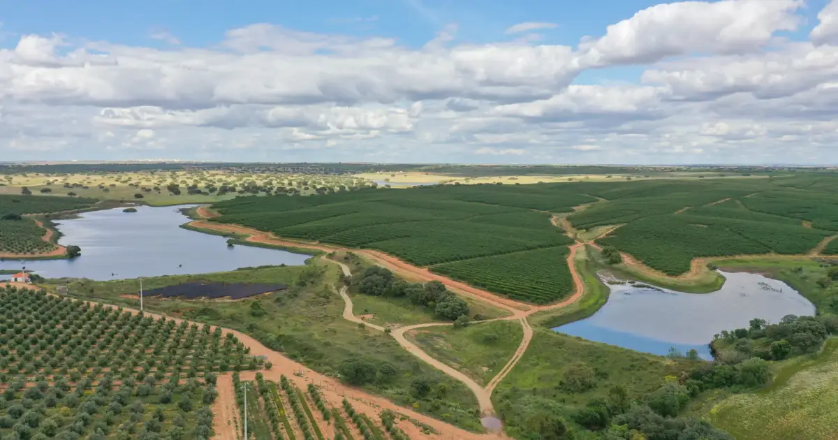Agroecologia e dados combinam-se para semear projeto agrícola premiado em Beja