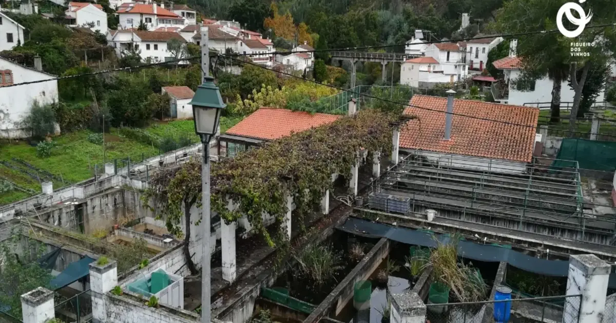 Figueiró dos Vinhos investe 675 mil euros no Centro de Ecossistemas Ribeirinhos