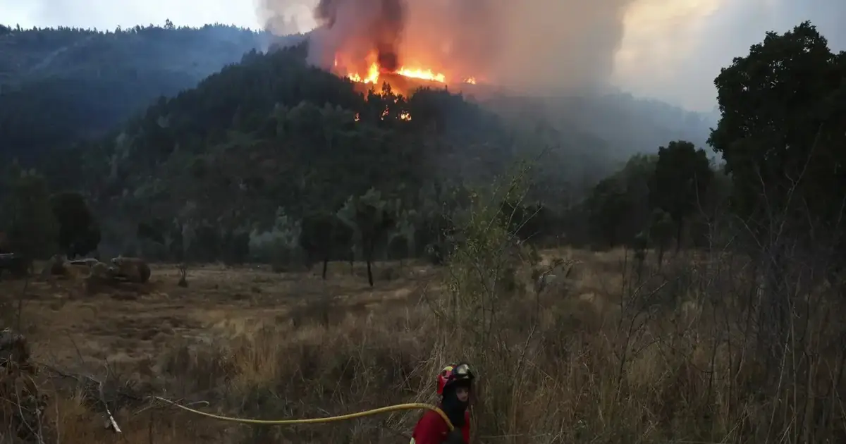 País tem prestado “pouca atenção” a fogos com origem na rede elétrica