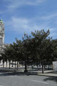 Câmara Municipal do Porto 