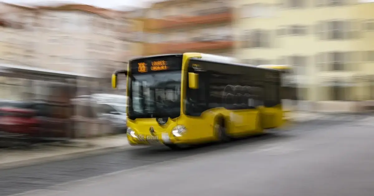 Navegante não muda de preço há seis anos e em 2026 vai-se manter igual
