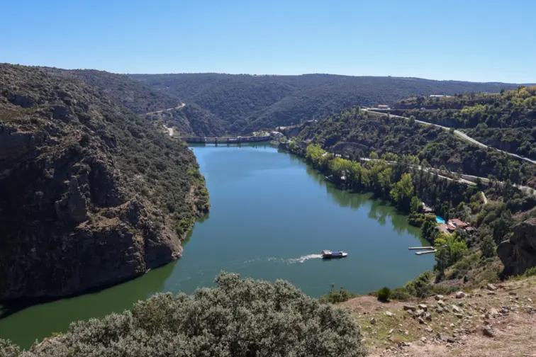 Autarca de Miranda do Douro revela não ter sido informada sobre hibridização da ... 15 mai. 2026, 17:10