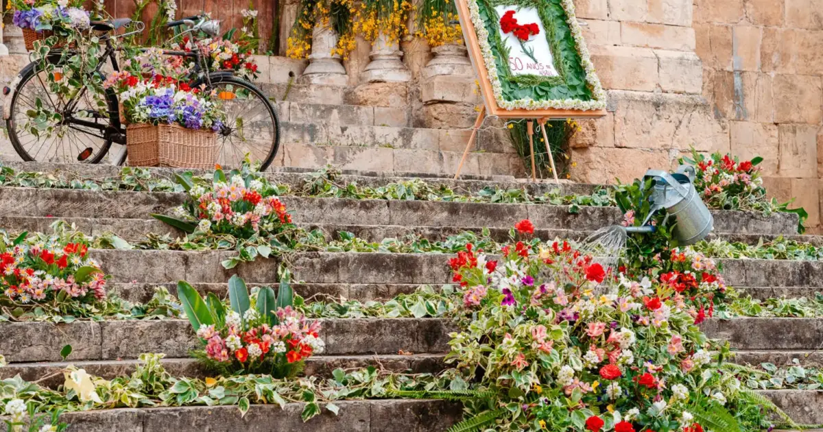 Flores e plantas dão cor à Baixa de Coimbra no fim de semana