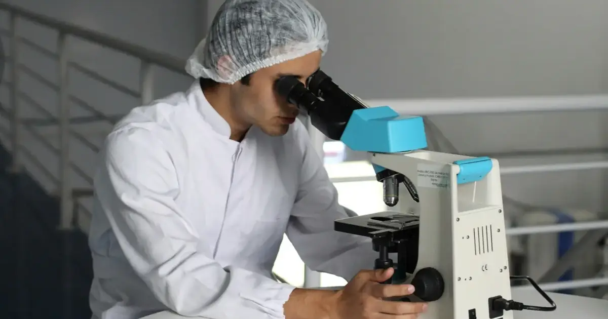 Universidade de Lisboa lidera criação de mestrado, em quatro países, para acelerar aplicação médica