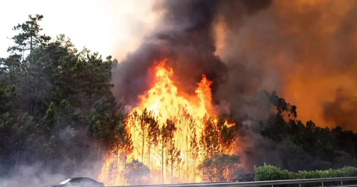 A1 reabre após incêndio em Aveiro ter estado cortada quase três horas
