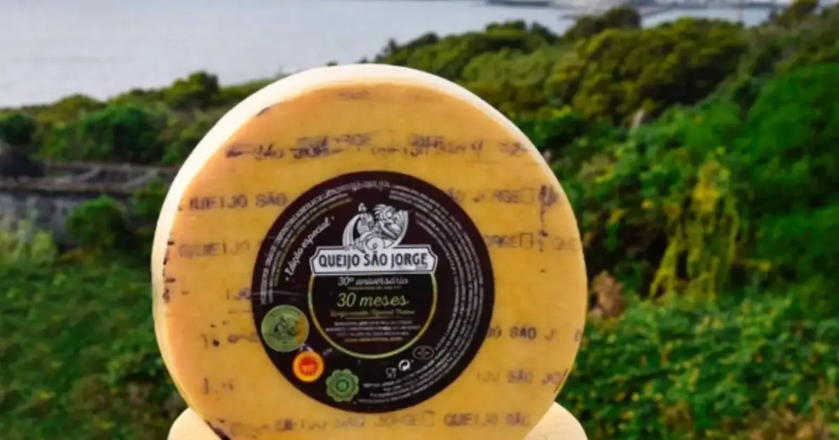 Candidatura do queijo de São Jorge à UNESCO avança nos Açores