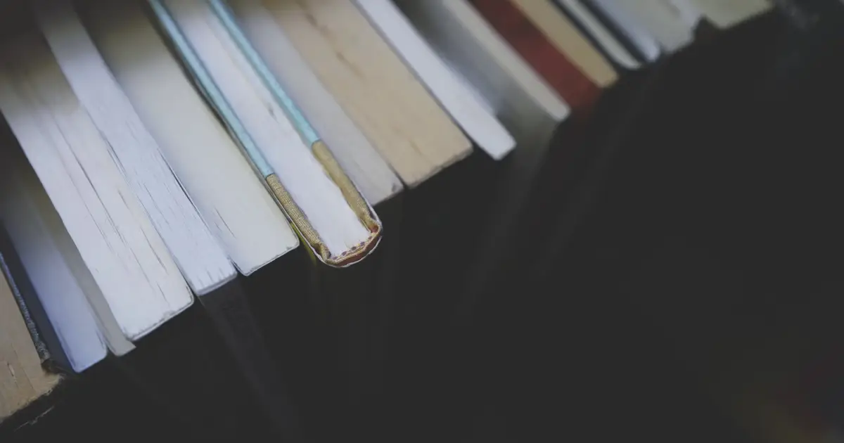 Festival Literário do Douro chega em maio com celebração da poesia
