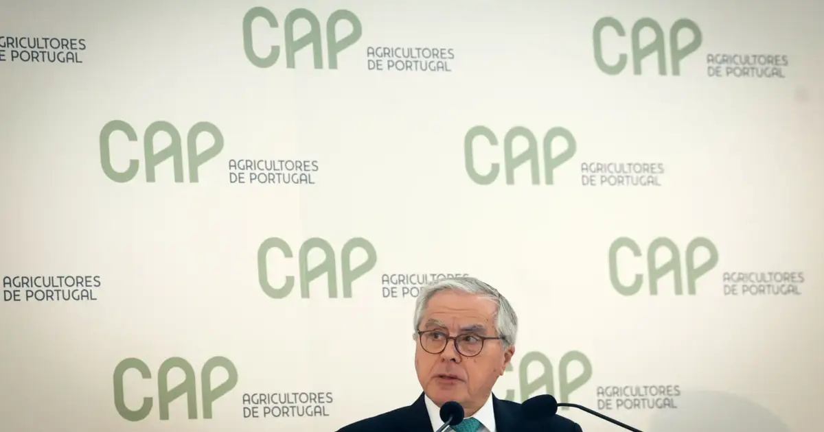 Álvaro Mendonça e Moura reeleito presidente da CAP