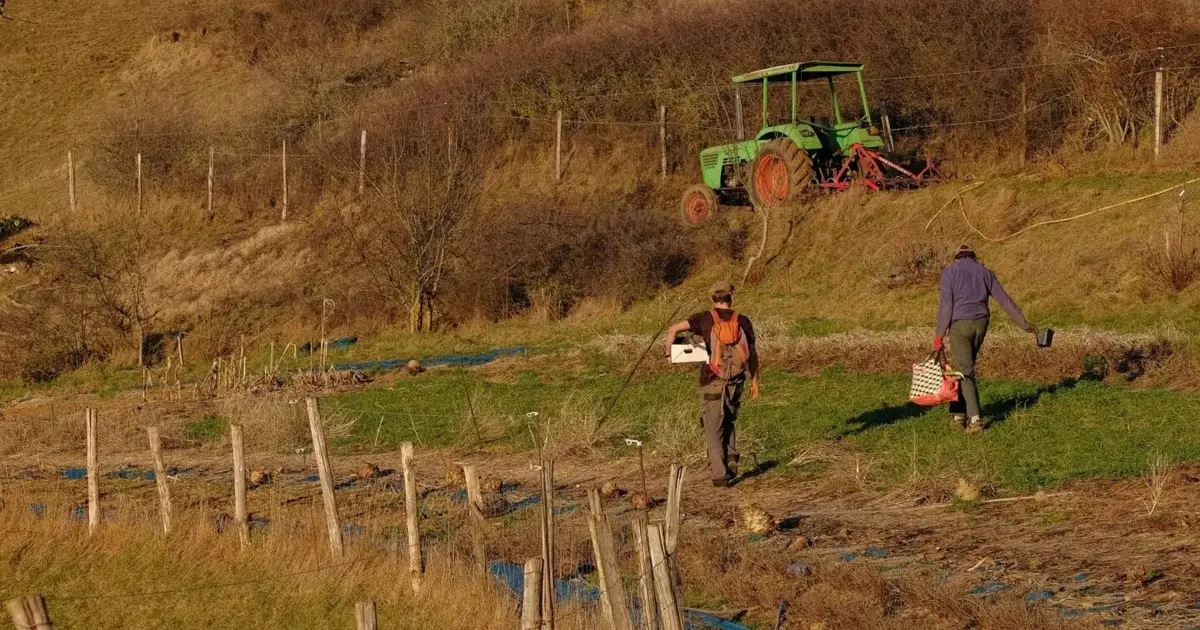 Agricultores fazem “avaliação positiva” do protocolo de migração regulada