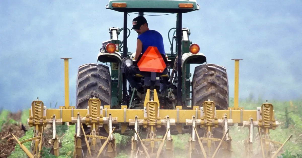 Portugal tem quebra significativa na produtividade do trabalho agrícola
