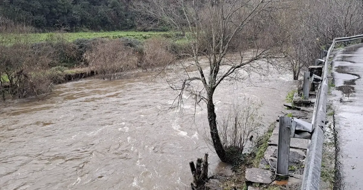 11 vias cortadas no distrito Porto. Câmara ativa Plano de Emergência até domingo.