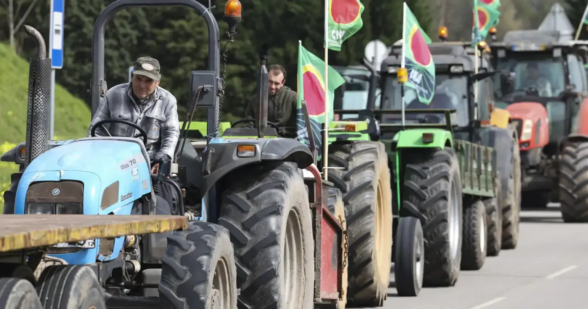 Agricultores alertam para falta de transparência no acordo comercial entre UE e Austrália