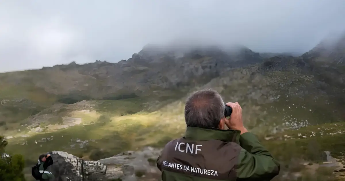 Governo vai avançar com fusão das carreiras de guarda-florestal, vigilantes da Natureza e guarda-rios