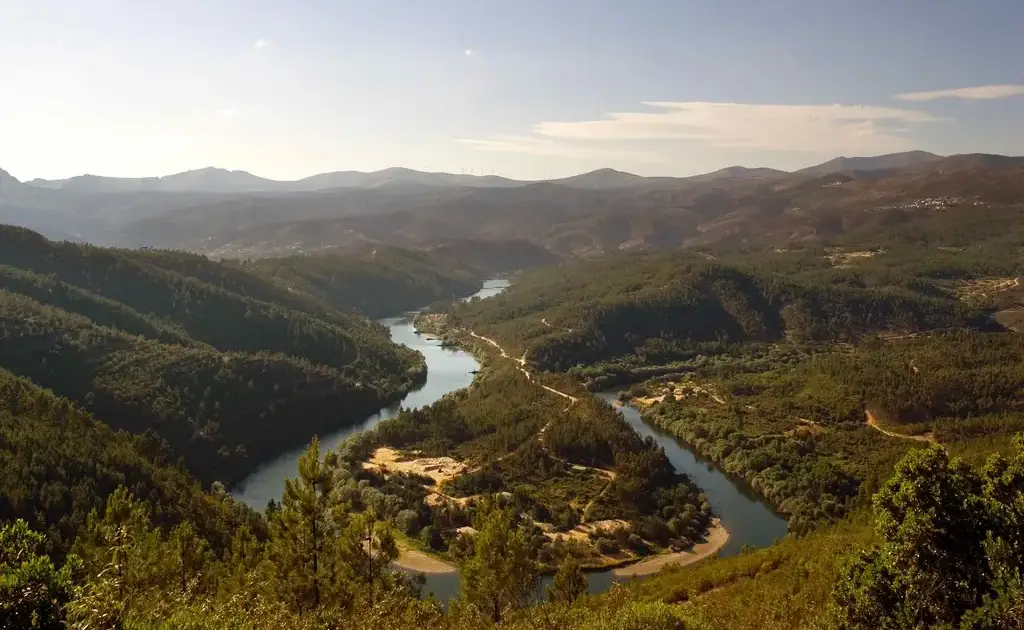 Autarquias unem-se para reabilitar rios Mondego e Zêzere