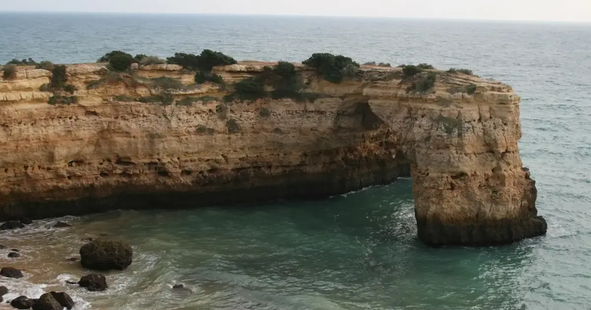 Ovos de dinossauro com 150 milhões de anos descobertos nas arribas de Torres Vedras