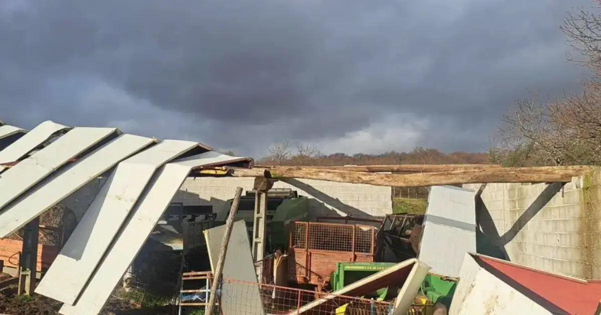 Mini-tornado deixou mais de 130 mil euros de prejuízos em Vinhais