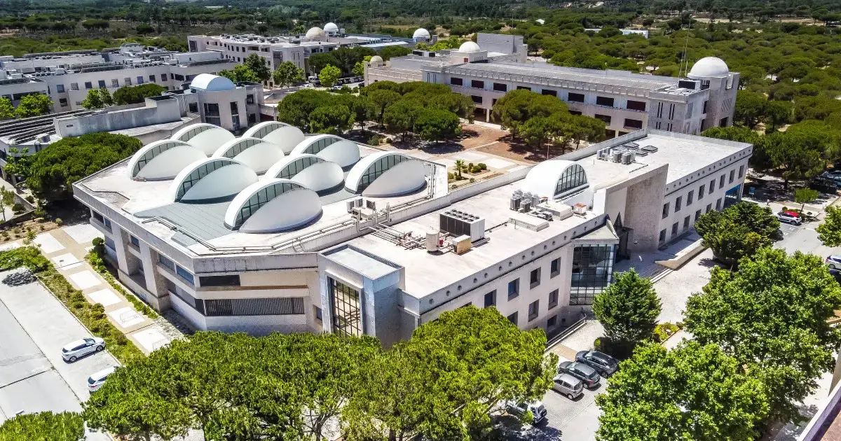 Universidades periféricas: o futuro constrói-se com inclusão, visão e sustentabilidade