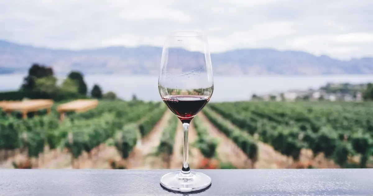 Vinhos do Alentejo, Douro e Madeira vencem prova “top 10 vinhos portugueses”
