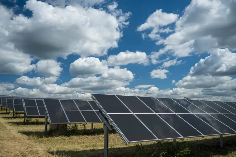 Ambientalistas contestam silêncio da APA sobre projetos fotovoltaicos 27 abr. 2026, 10:57