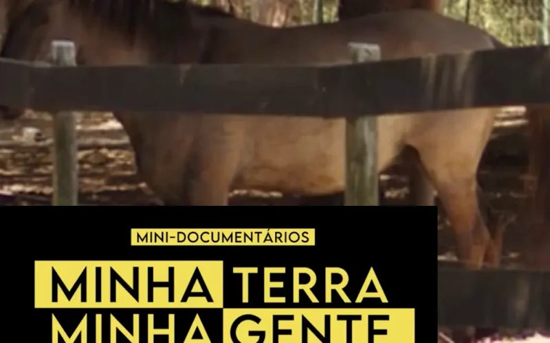 Cavalos Sorraia
