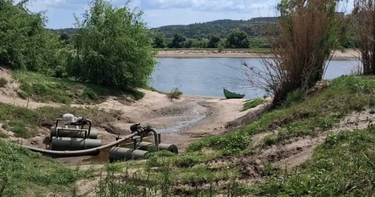 Agricultores do Médio Tejo com 500 hectares sem rega há três dias