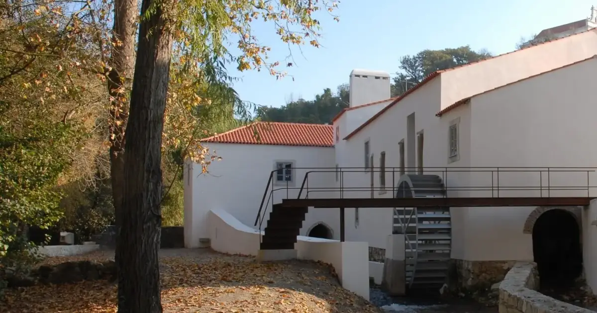 Leiria reabre equipamentos culturais afetados pelas tempestades até 6 de junho