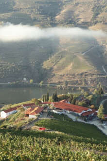 12 fev. 2026, 12:50