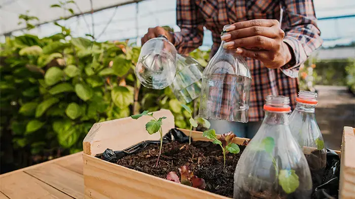 Feira Nacional de Agricultura regressa a Santarém com destaque nos pequenos frut... 18 mai. 2026, 13:49
