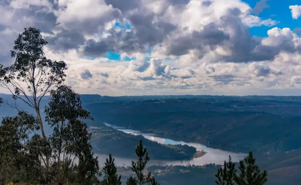 Parque das Serras do Porto reforça escudo verde com nova aquisição ambiental que vai proteger biodiversidade ameaçada