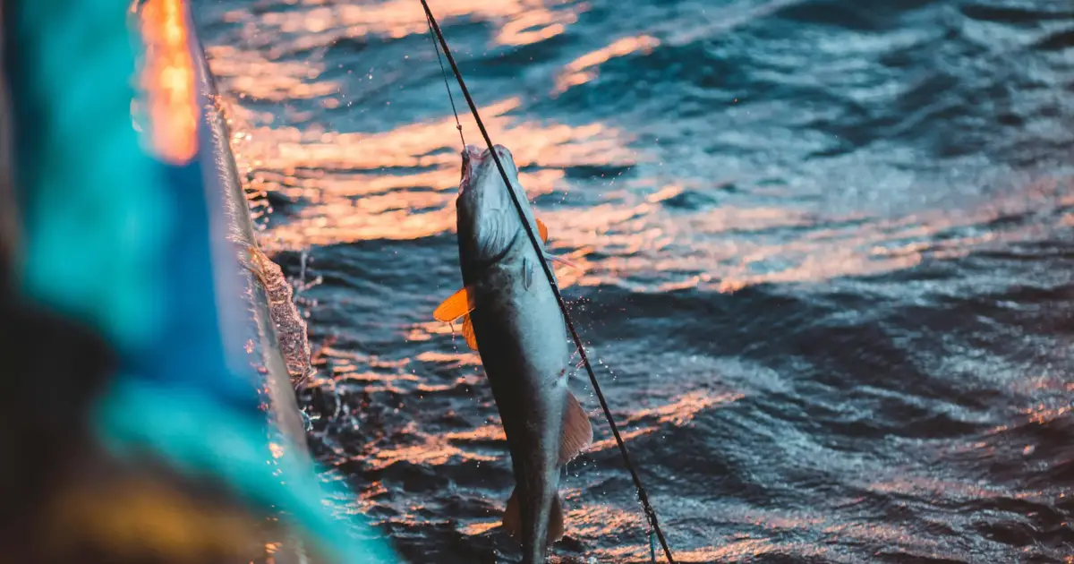 Portugal quer quotas de pesca mais altas para 2026 12 dez. 2025, 12:51