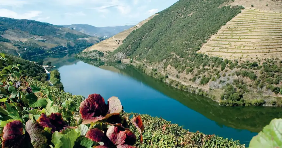 CIM Douro lança plataforma digital para monitorizar trânsito, turismo e consumos... 18 mai. 2026, 11:27