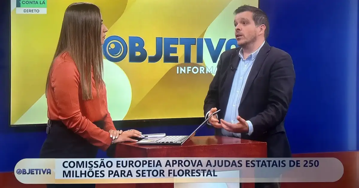“É fulcral retirar toda a madeira do terreno para proteger a floresta”