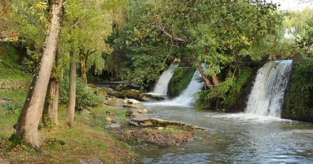 Em Leiria, artistas apresentam trabalhos que unem ecologia à arte sonora