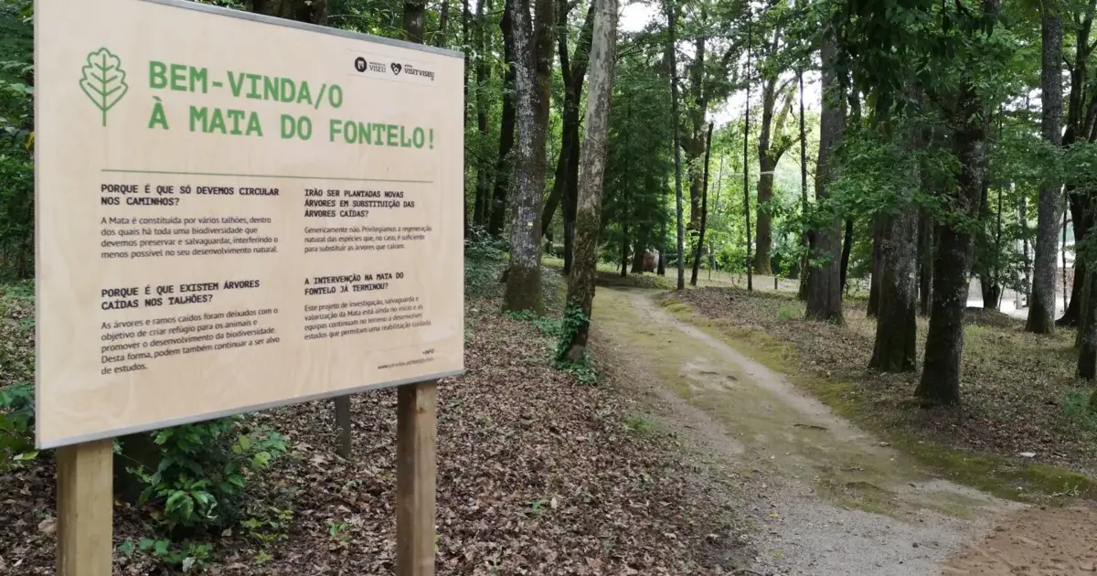 Mau tempo: Viseu encerra jardins até domingo