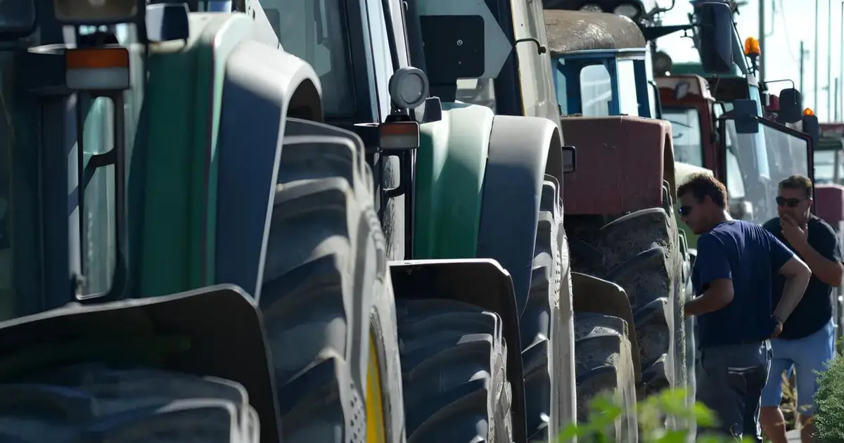 Agricultores manifestam-se hoje em Bruxelas: o que está em causa e as razões do protesto
