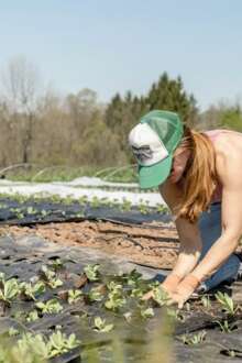 Governo diz que há mais 2.000 novos jovens agricultores instalados 15 abr. 2026, 10:20