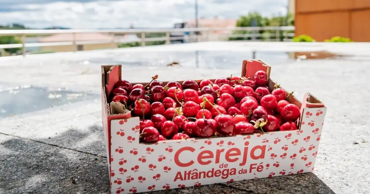 Alfândega da Fé recebe Festa da Cereja em junho