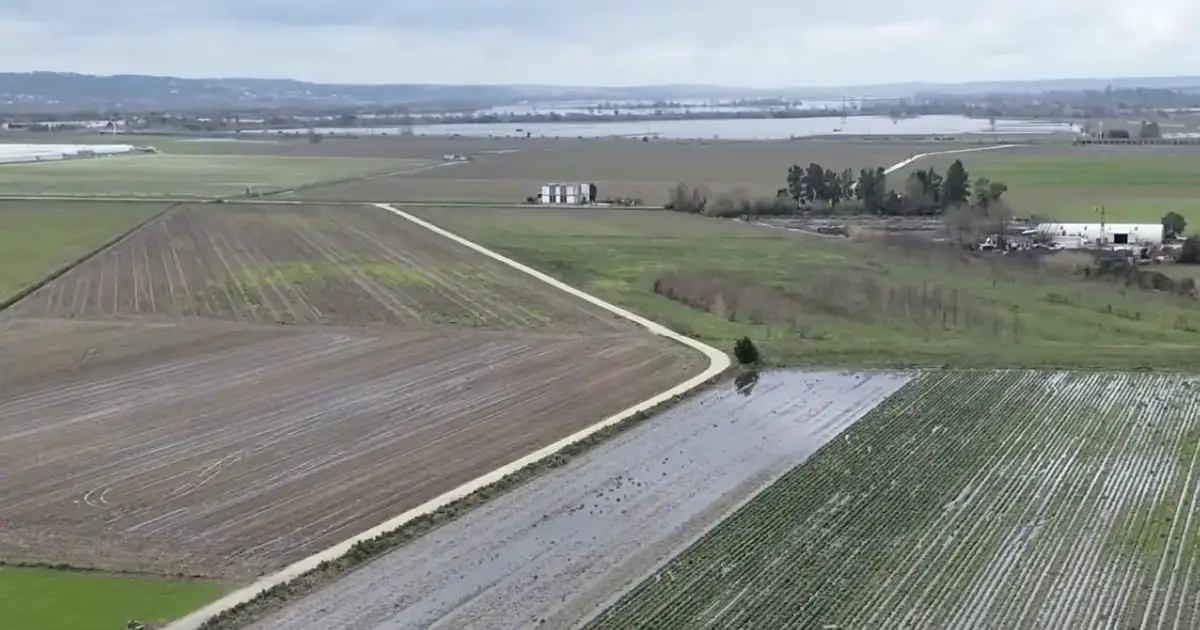 Declarados mais de 449 ME de prejuízos na agricultura e pescas