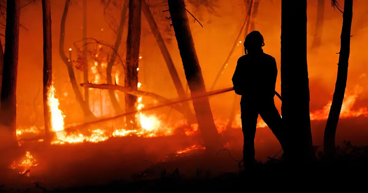 Números sobre os fogos ocultam realidade de incêndios em Portugal